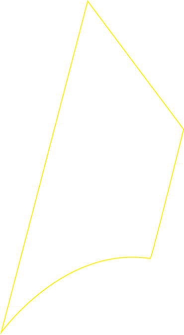 Polygon